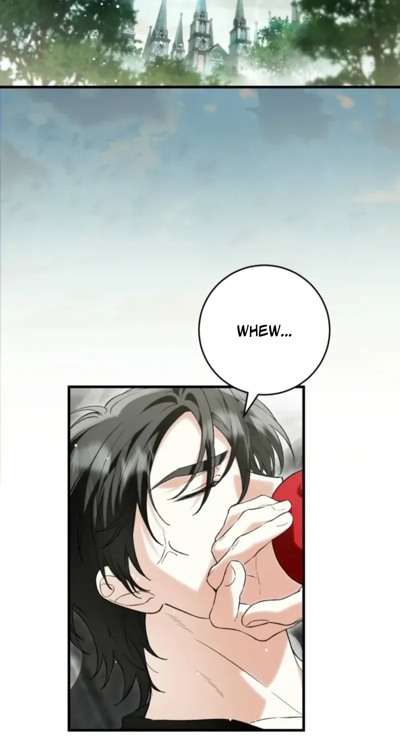 The Heroine Wants Me As Her Sister-in-Law Chapter 99 page 28 - 