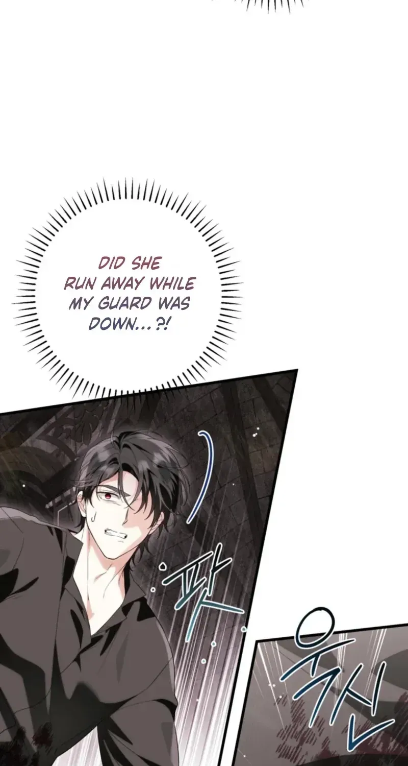The Heroine Wants Me As Her Sister-in-Law Chapter 99 page 47 - 