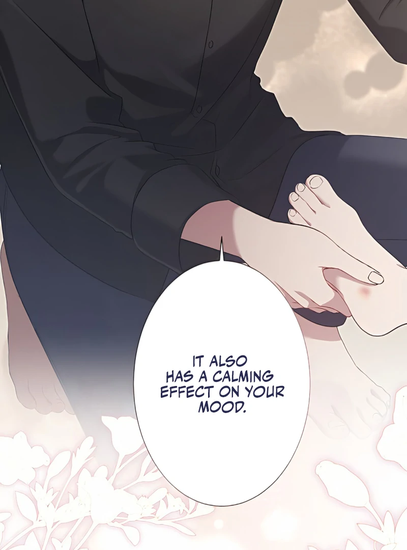 The Hidden Prince Who Loved Me Chapter 4 page 28 - 