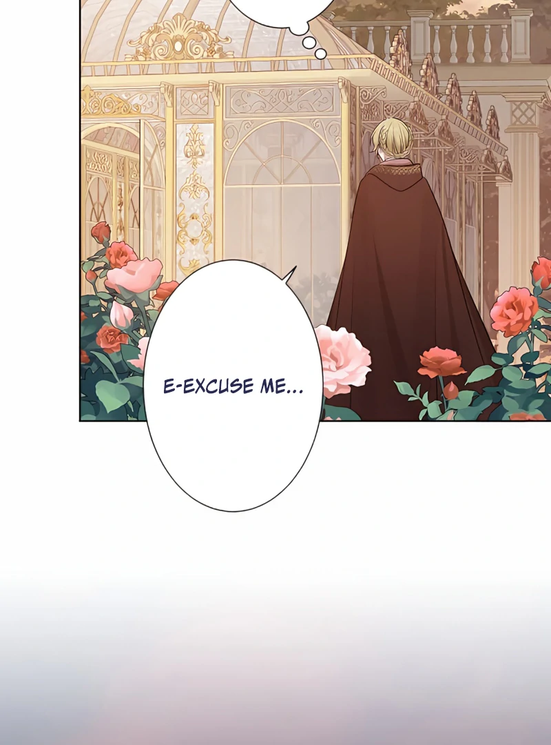 The Hidden Prince Who Loved Me Chapter 4 page 10 - 