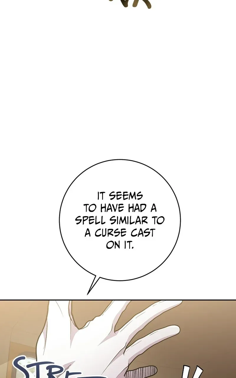 The Holy Emperor’s Grandson is a Necromancer Chapter 93 page 37 - 