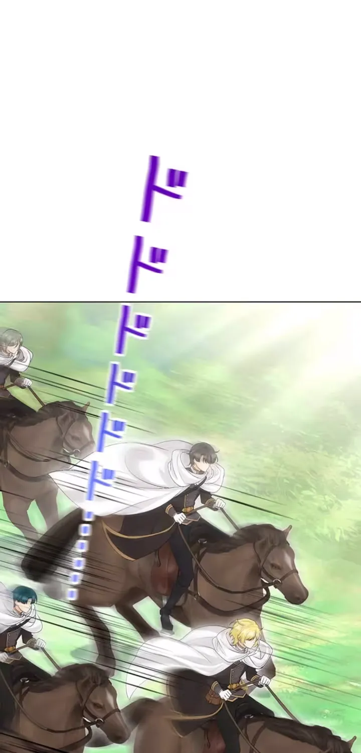 The Holy Sword Lady