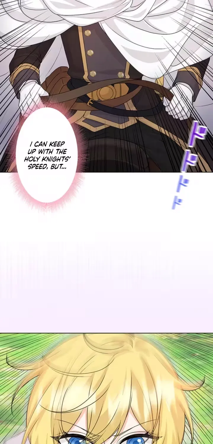 The Holy Sword Lady