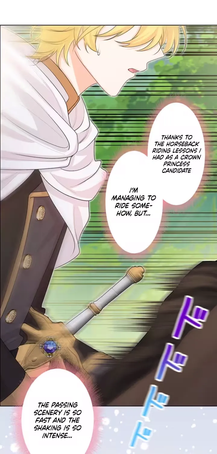 The Holy Sword Lady