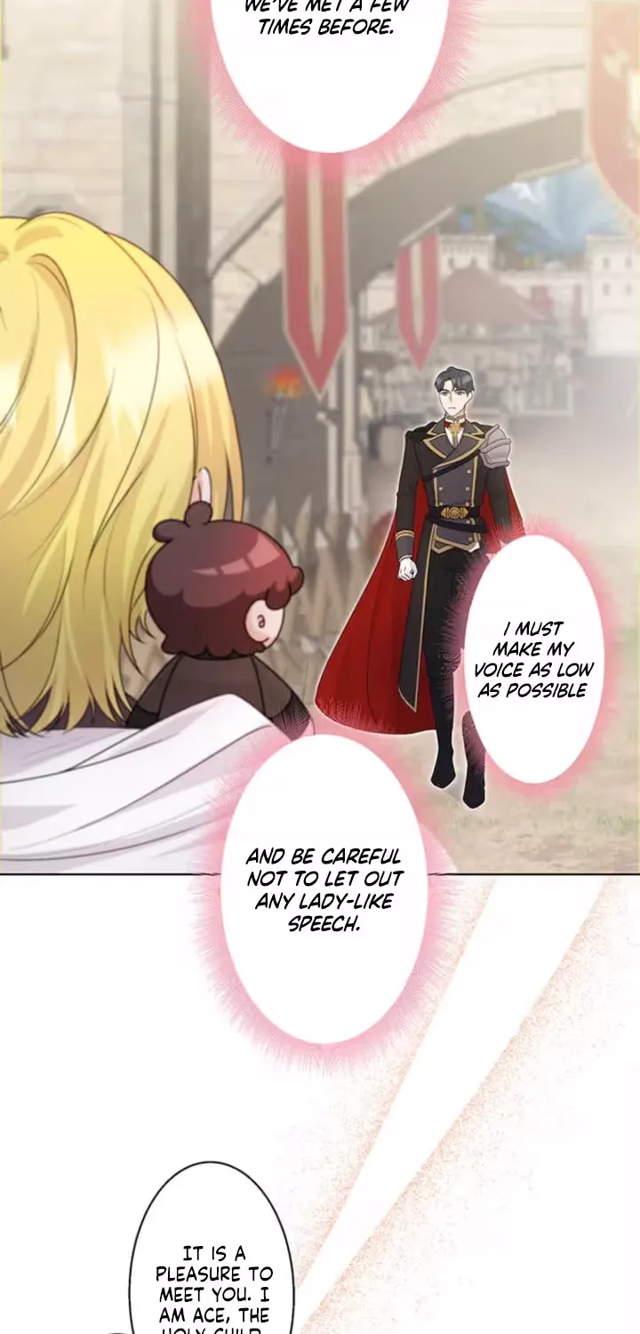 The Holy Sword Lady