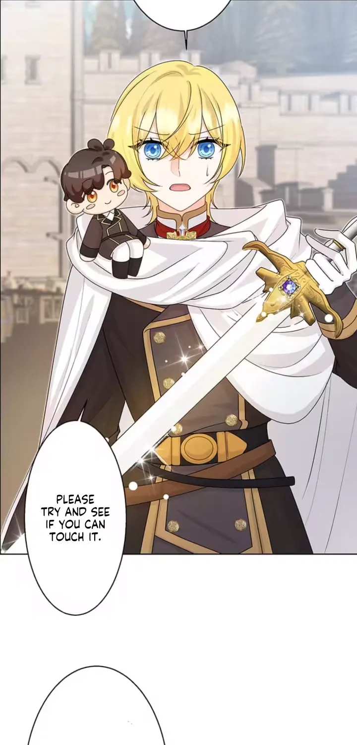 The Holy Sword Lady