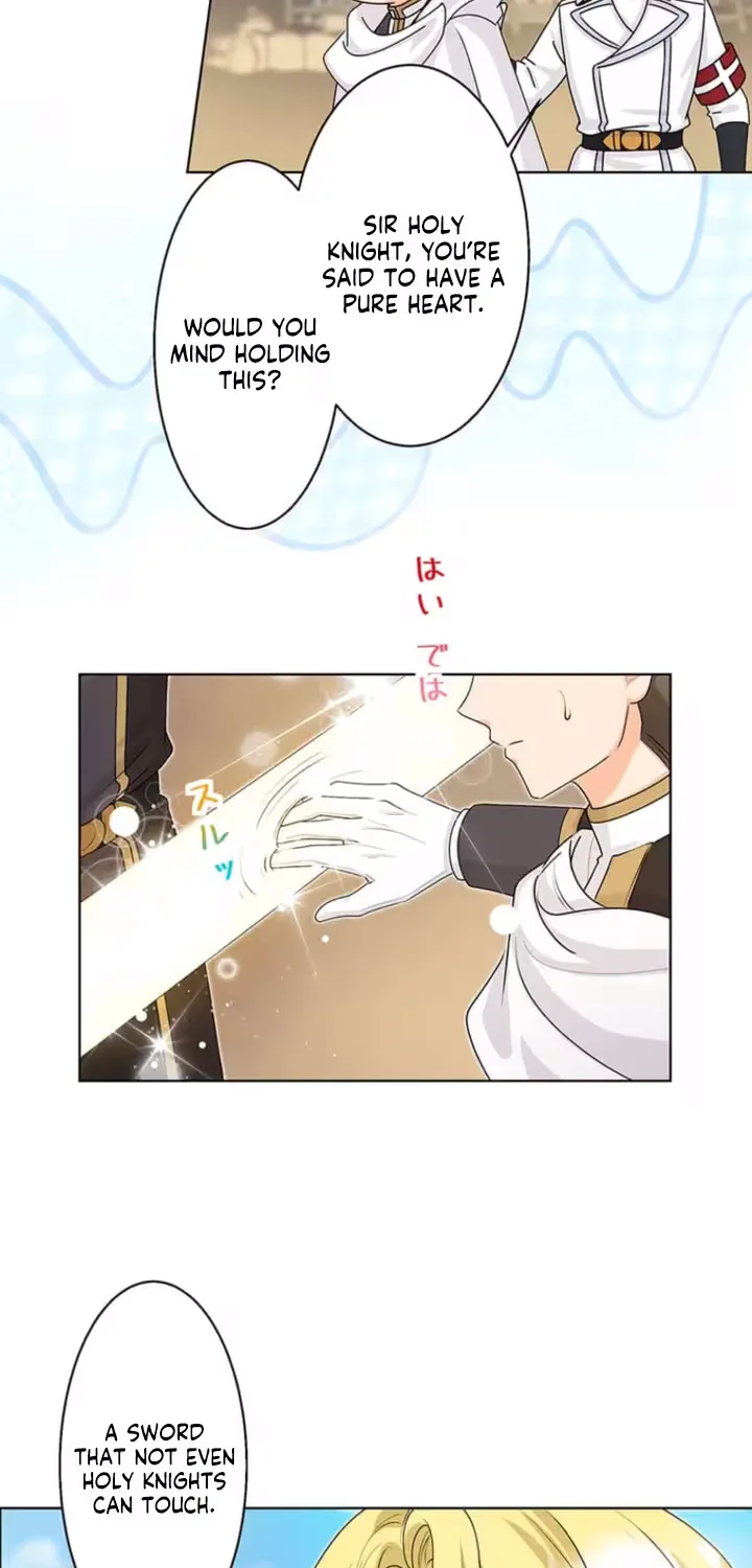 The Holy Sword Lady