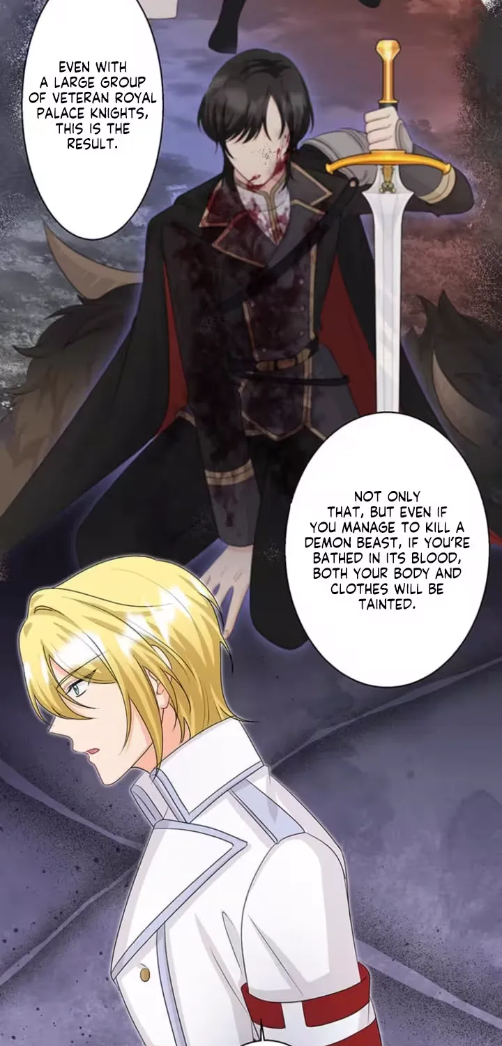 The Holy Sword Lady