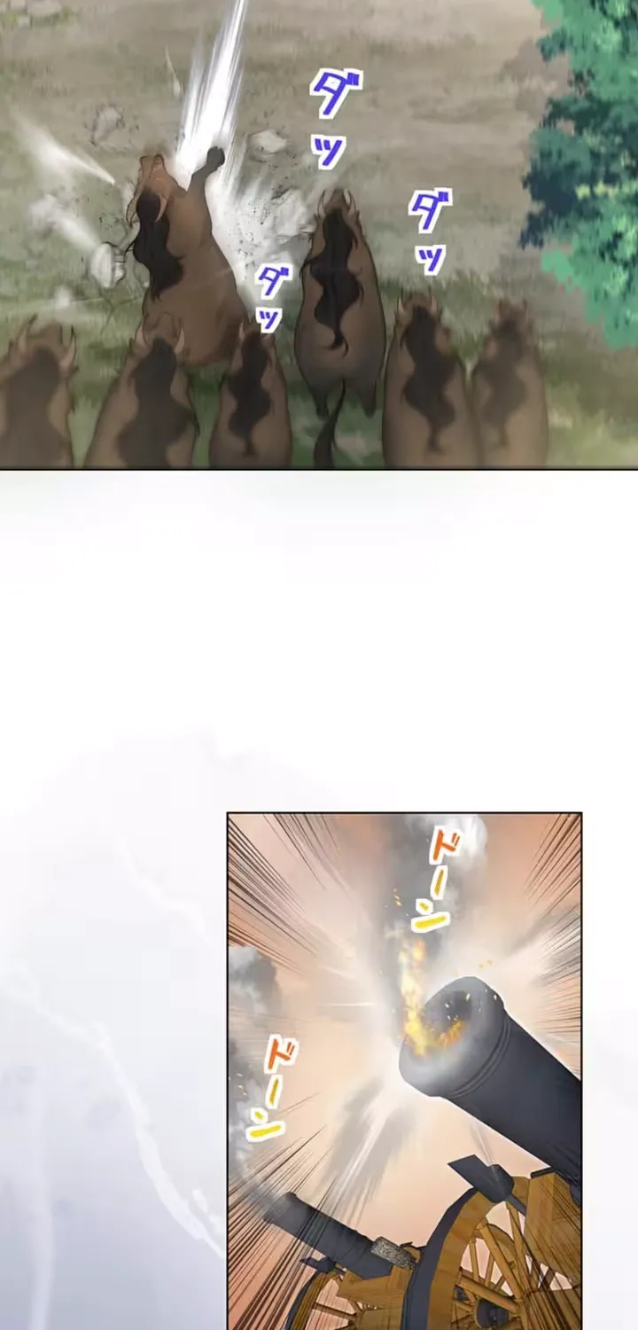The Holy Sword Lady