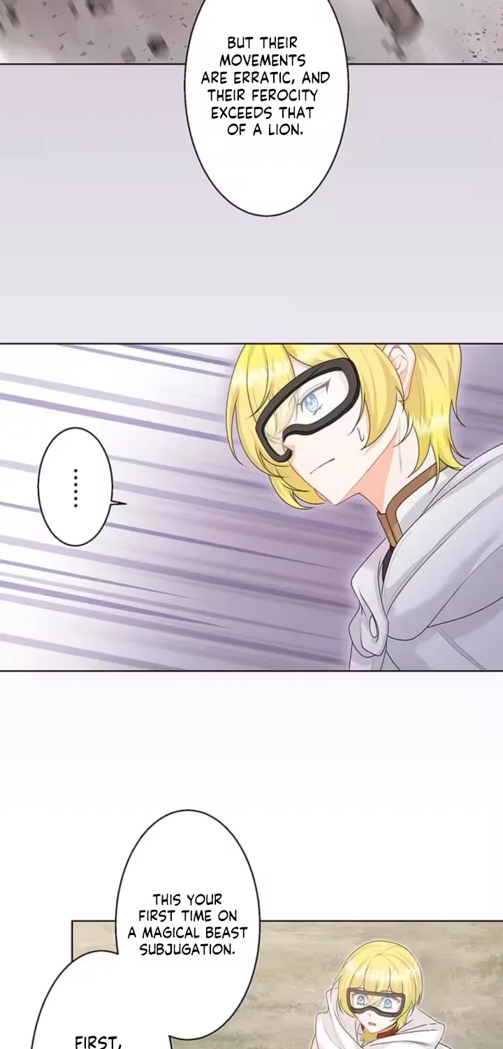 The Holy Sword Lady