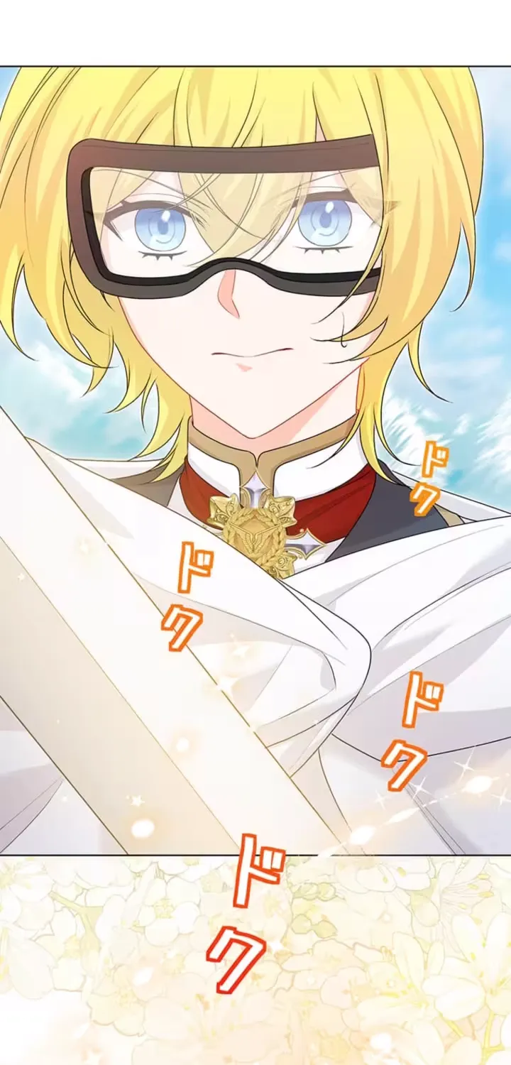 The Holy Sword Lady
