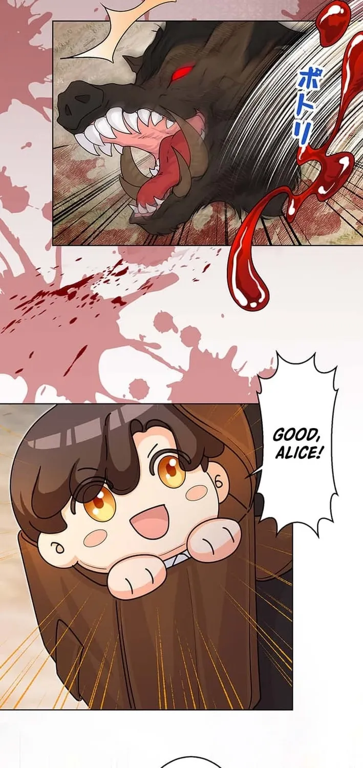 The Holy Sword Lady