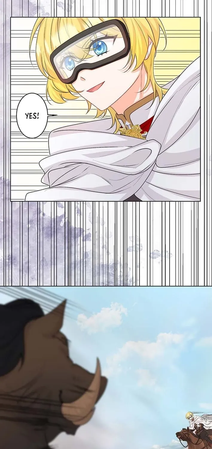 The Holy Sword Lady