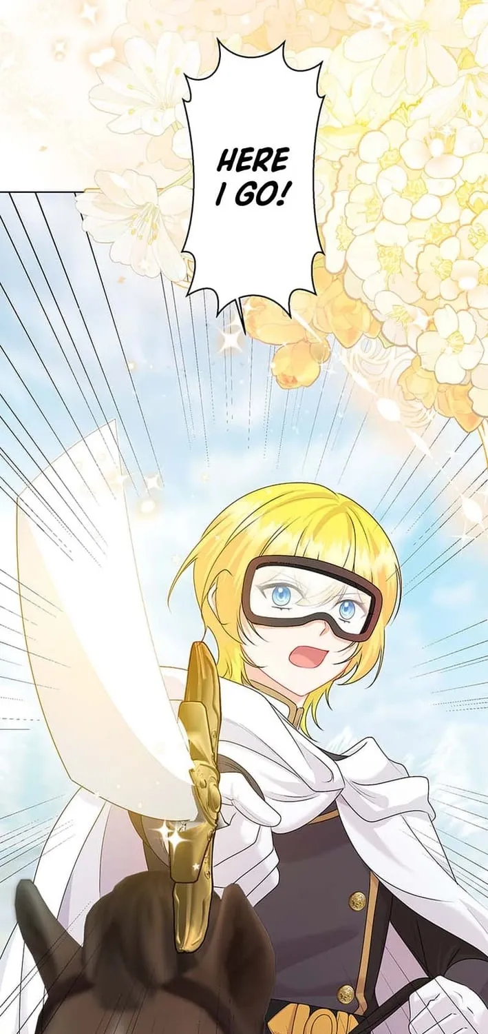 The Holy Sword Lady