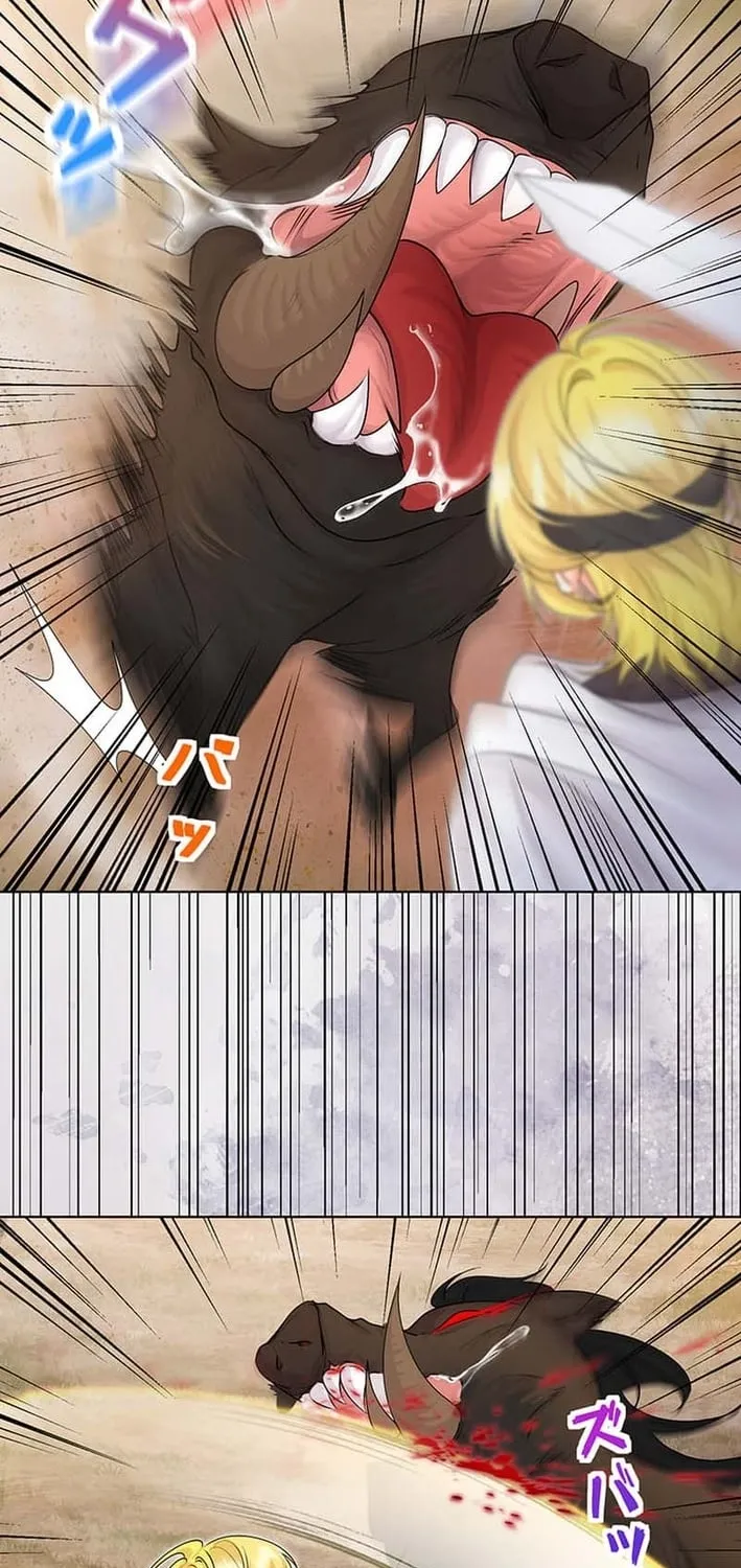 The Holy Sword Lady