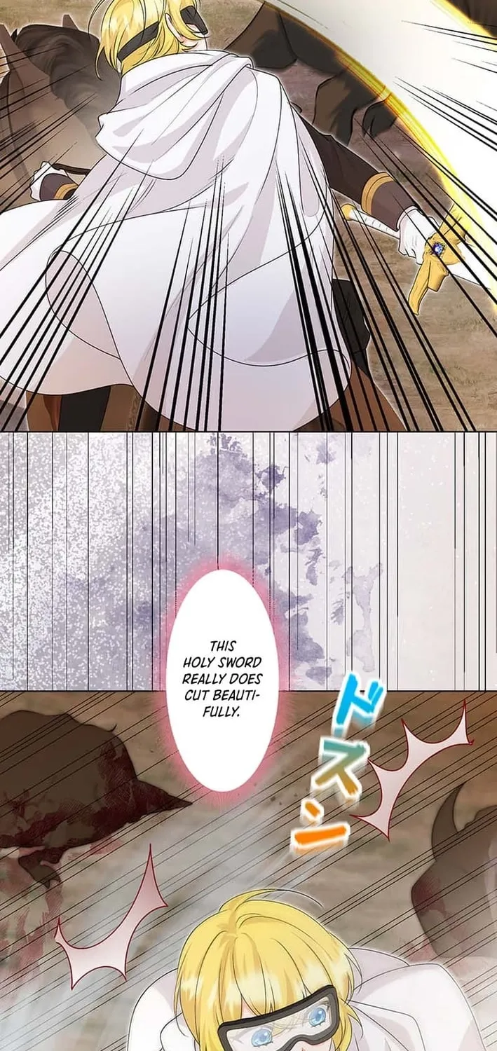 The Holy Sword Lady