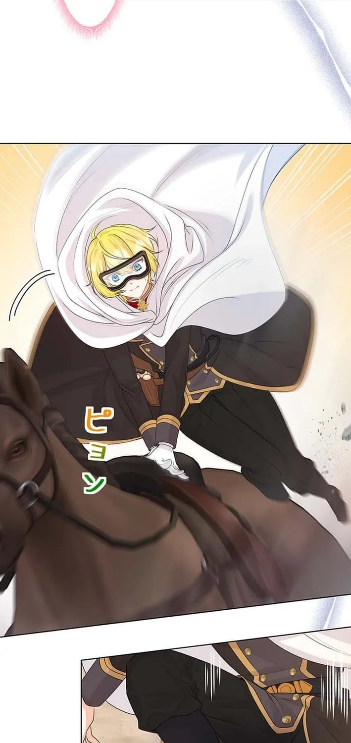 The Holy Sword Lady