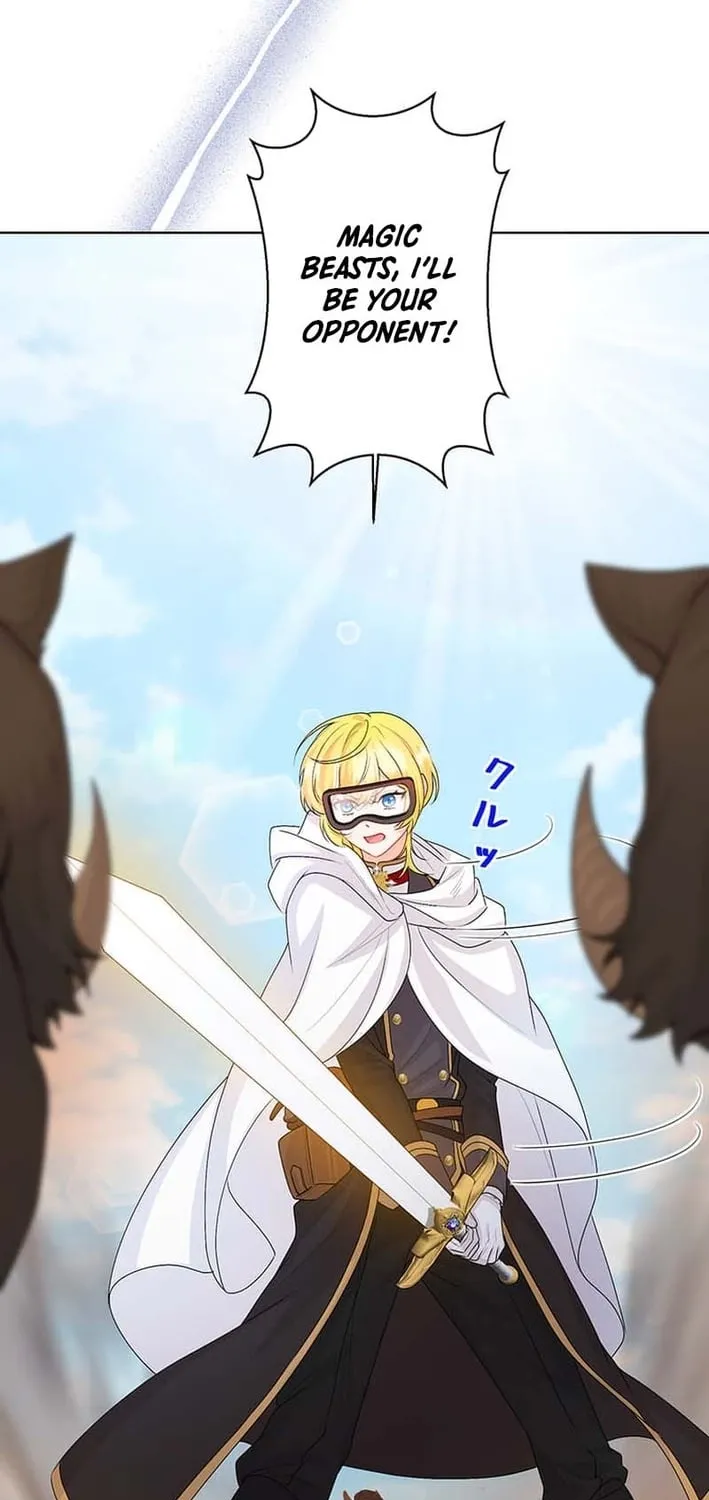 The Holy Sword Lady