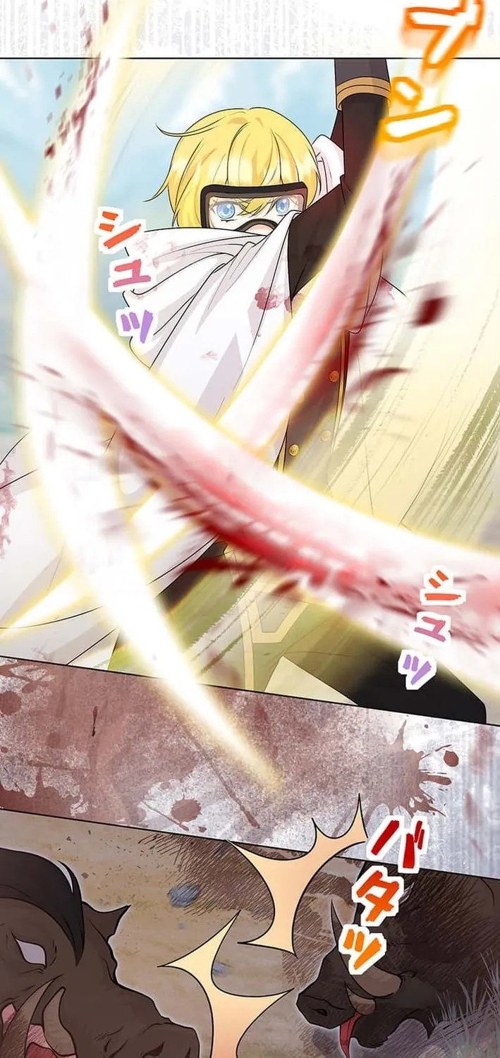 The Holy Sword Lady