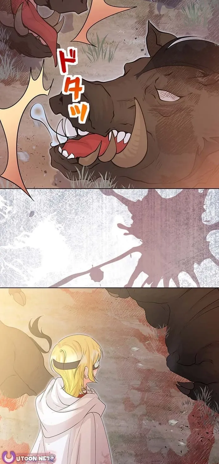 The Holy Sword Lady