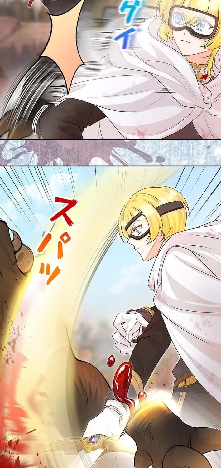 The Holy Sword Lady
