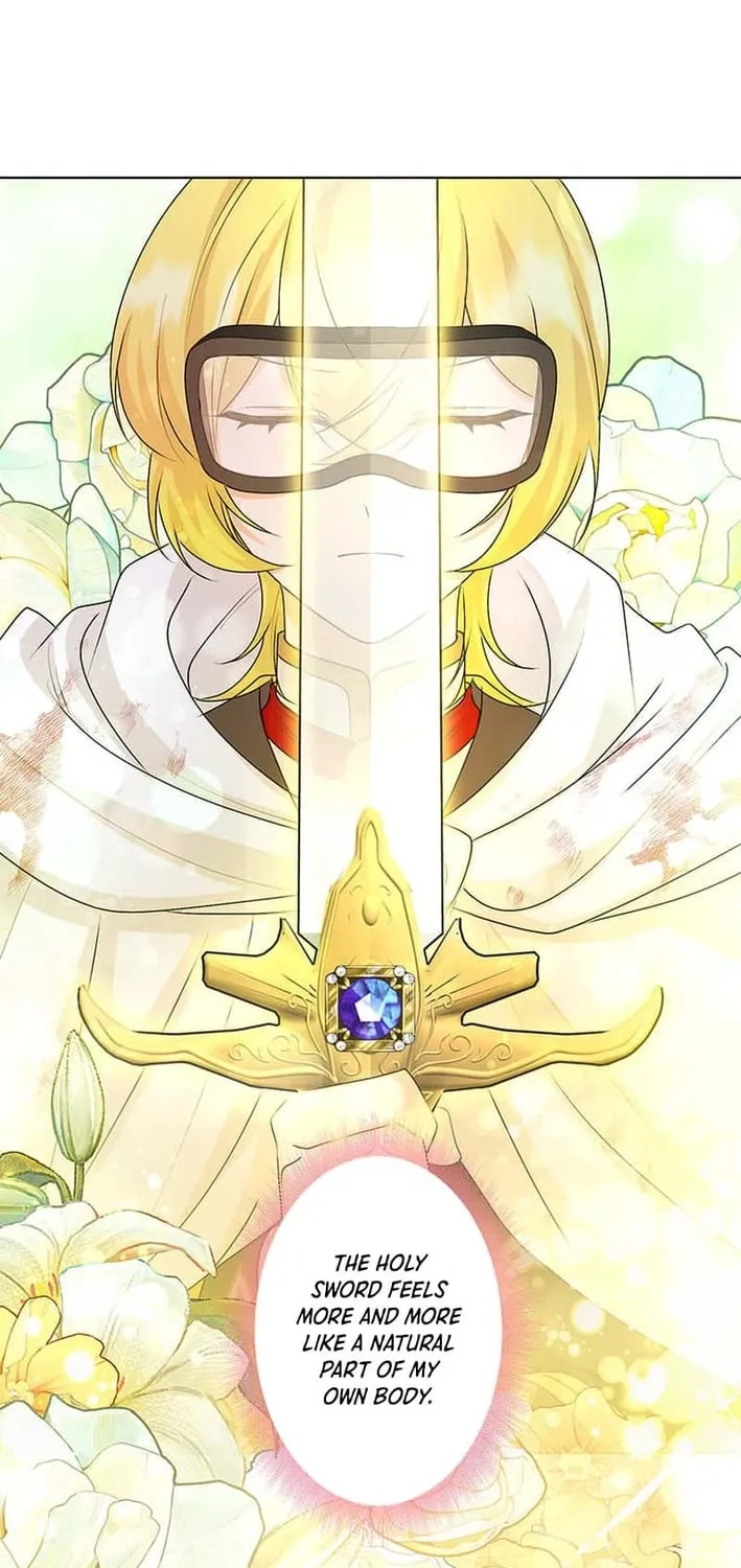 The Holy Sword Lady