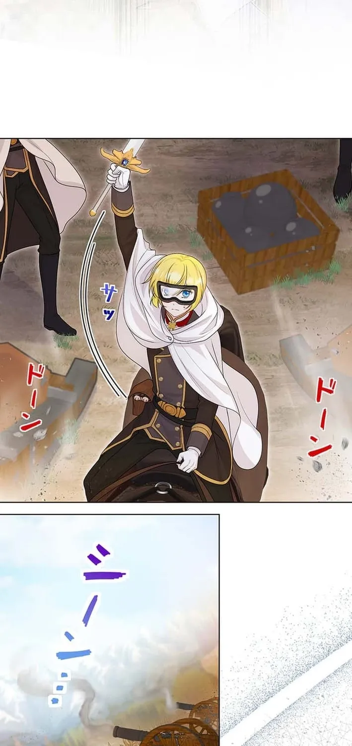 The Holy Sword Lady
