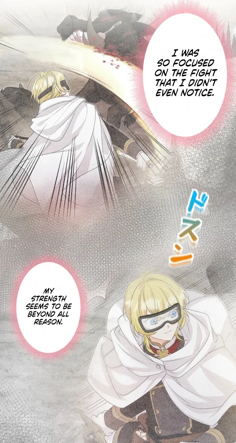 The Holy Sword Lady