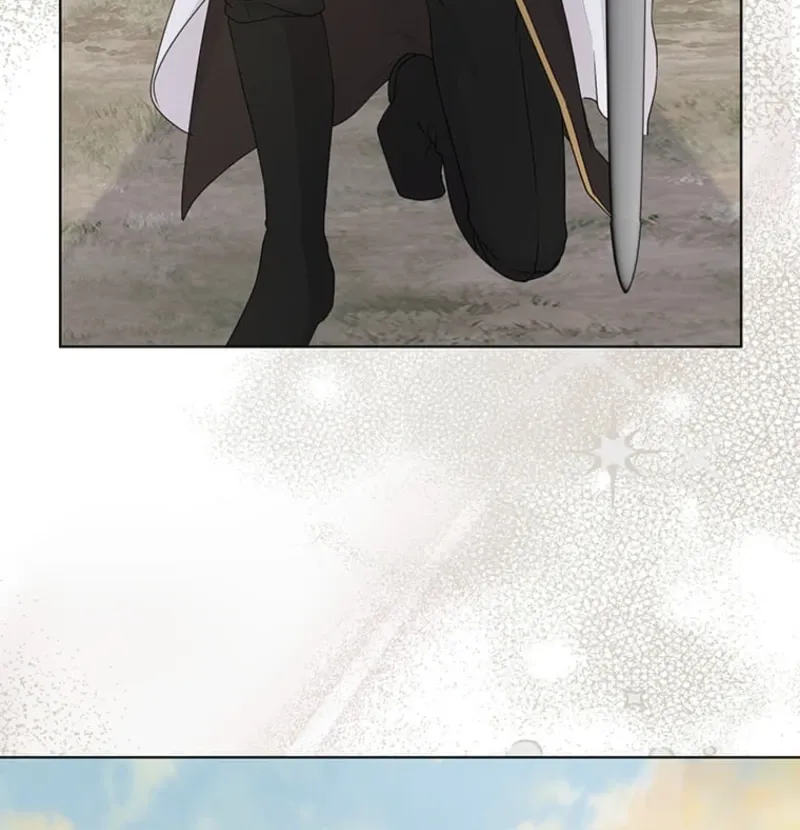The Holy Sword Lady