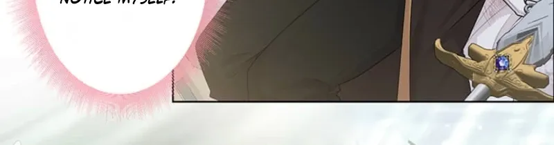 The Holy Sword Lady