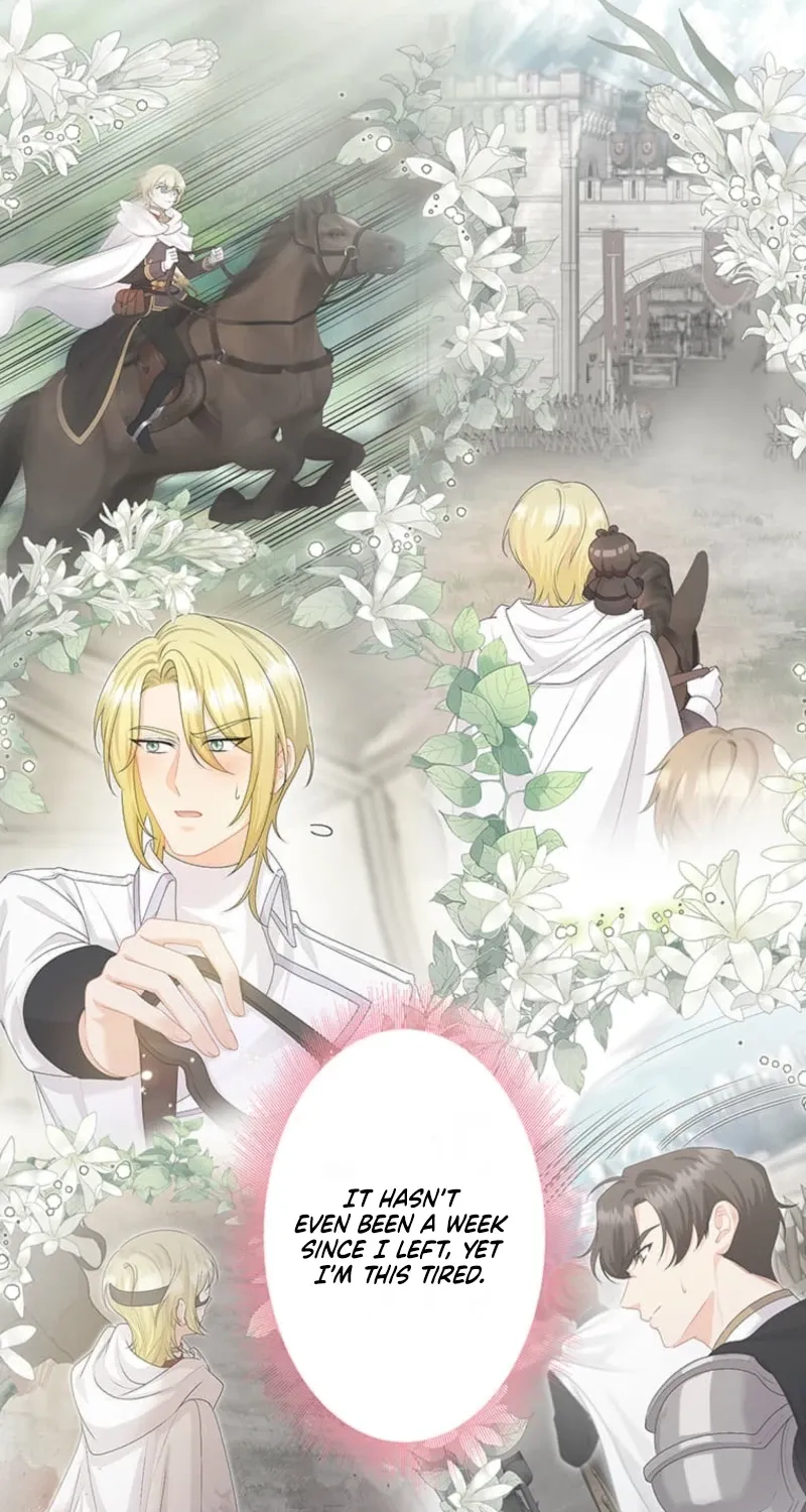 The Holy Sword Lady