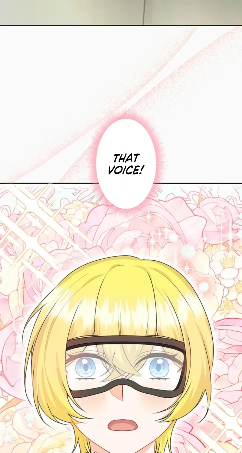 The Holy Sword Lady
