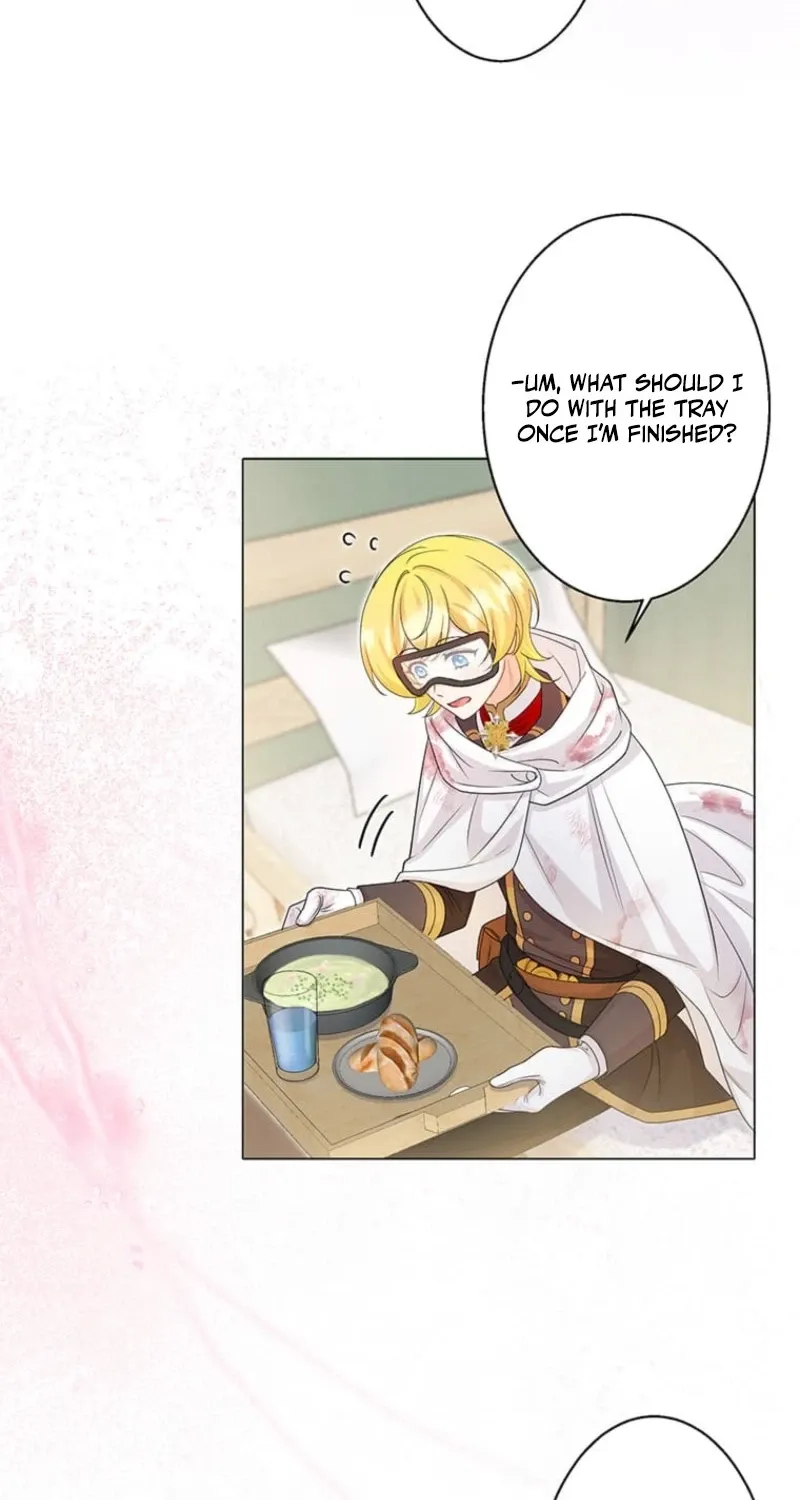 The Holy Sword Lady