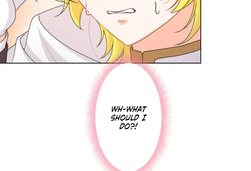 The Holy Sword Lady