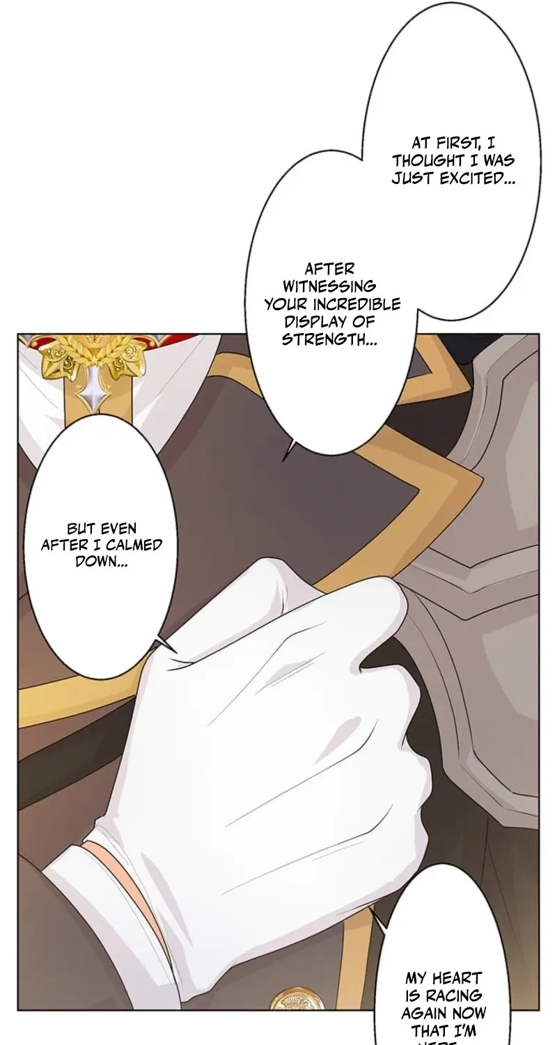 The Holy Sword Lady