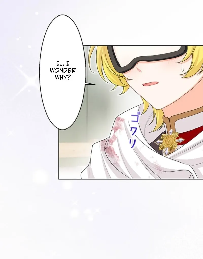 The Holy Sword Lady