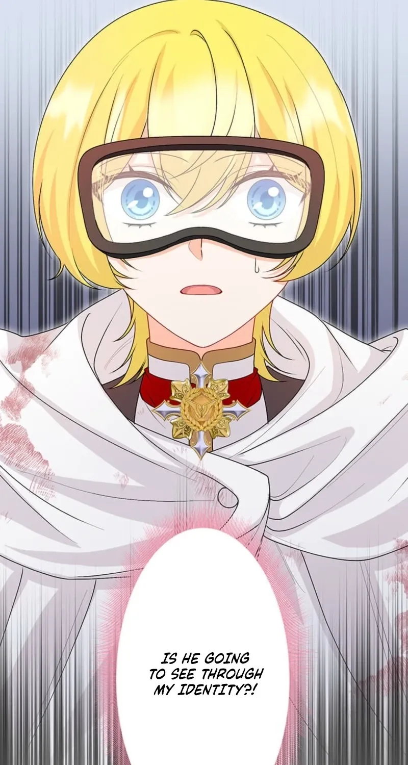 The Holy Sword Lady