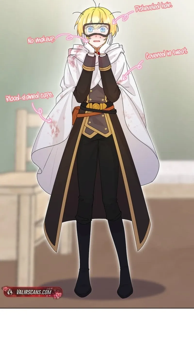 The Holy Sword Lady