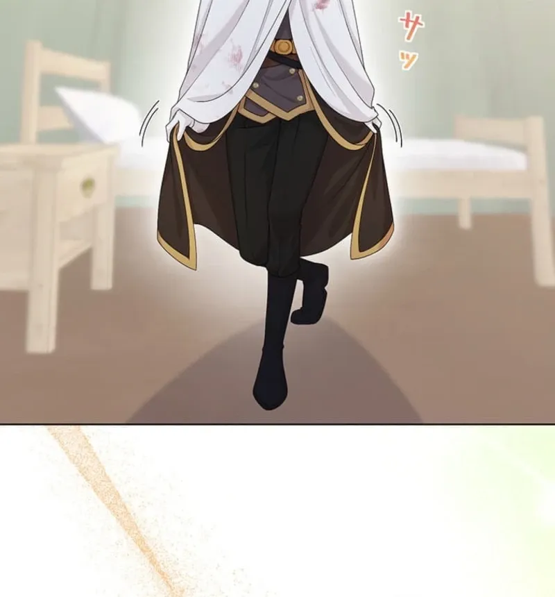 The Holy Sword Lady