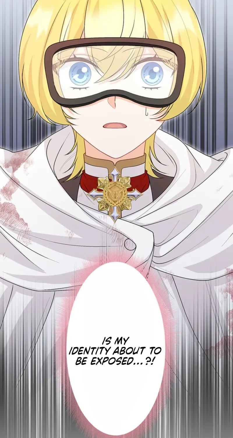 The Holy Sword Lady