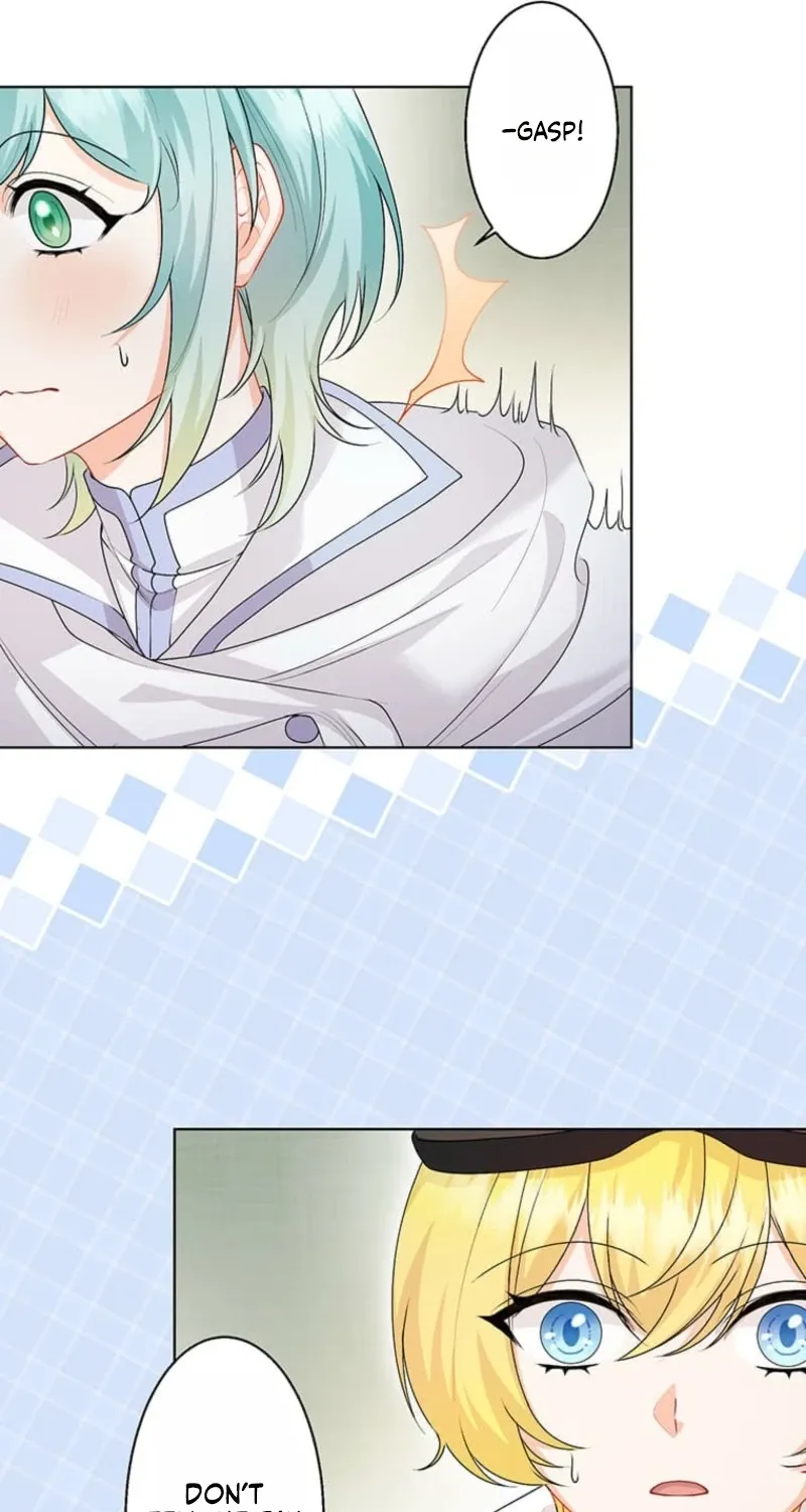 The Holy Sword Lady