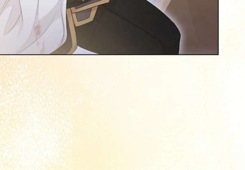 The Holy Sword Lady