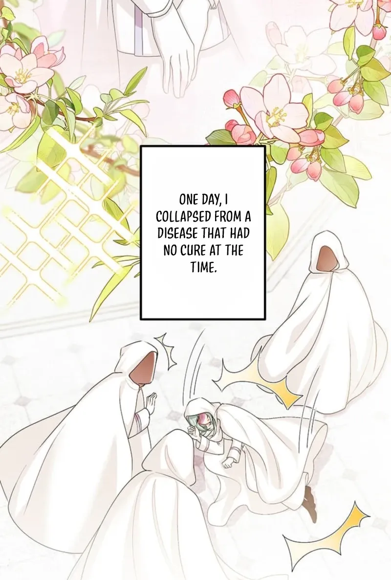 The Holy Sword Lady