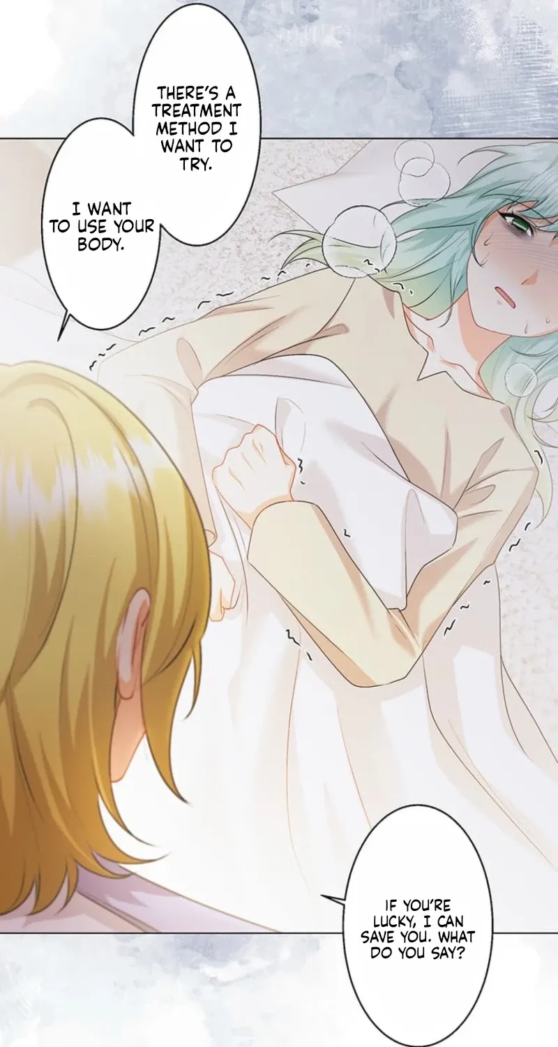 The Holy Sword Lady