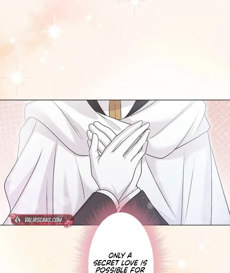 The Holy Sword Lady