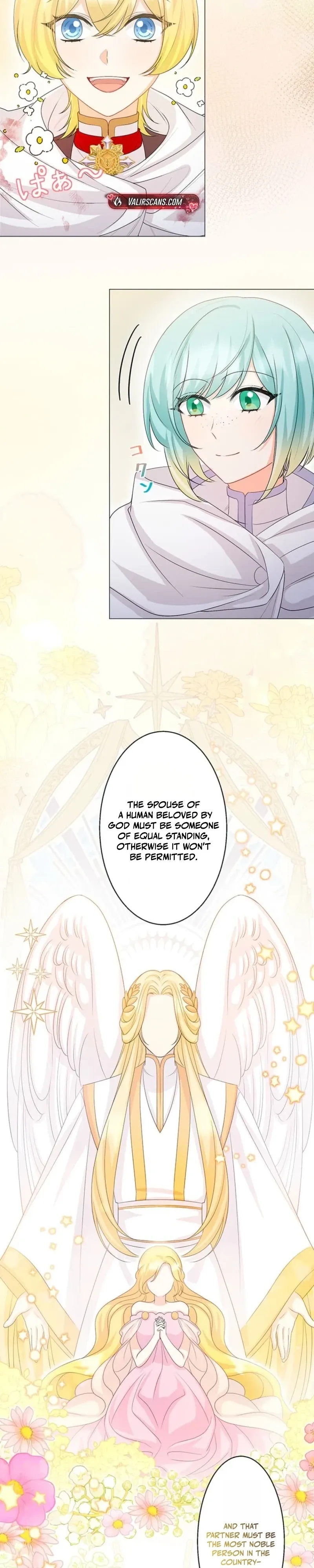 The Holy Sword Lady