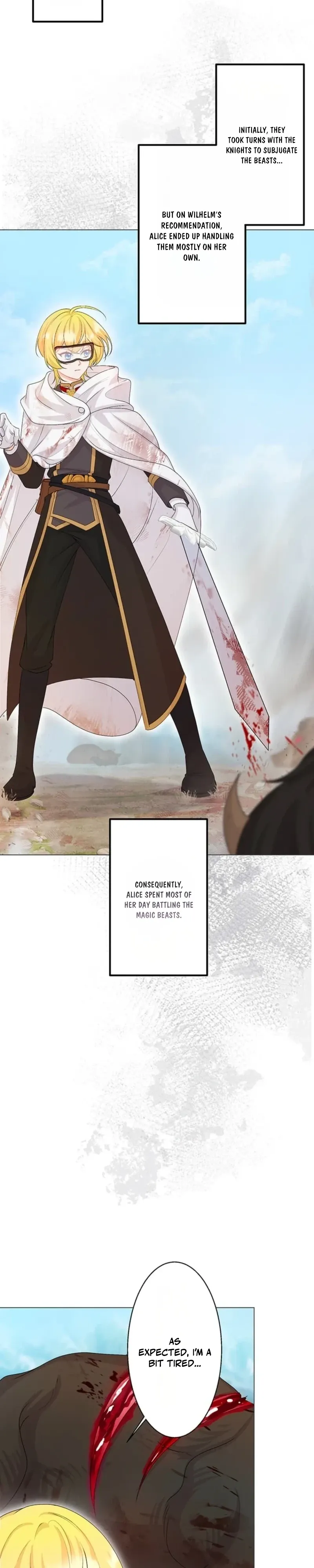 The Holy Sword Lady