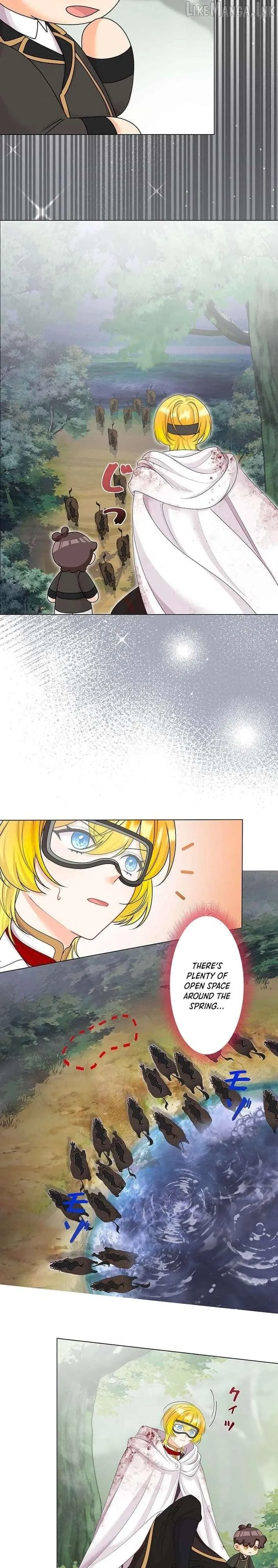 The Holy Sword Lady