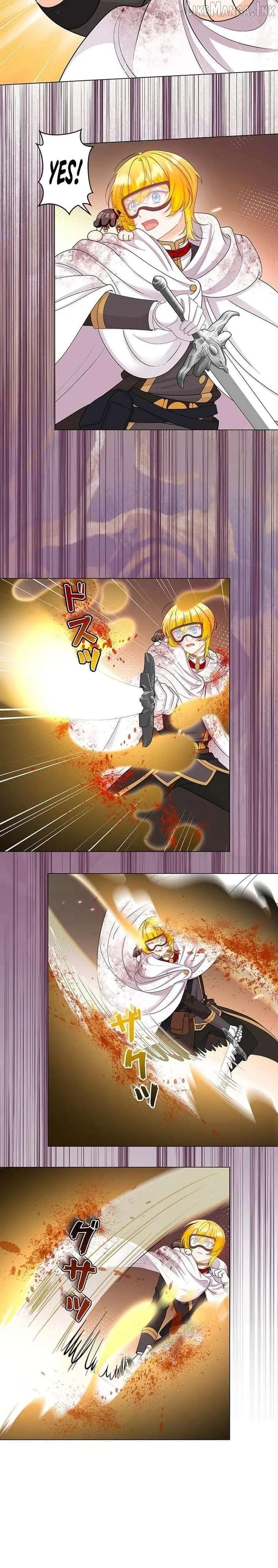 The Holy Sword Lady