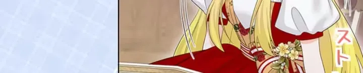 The Holy Sword Lady
